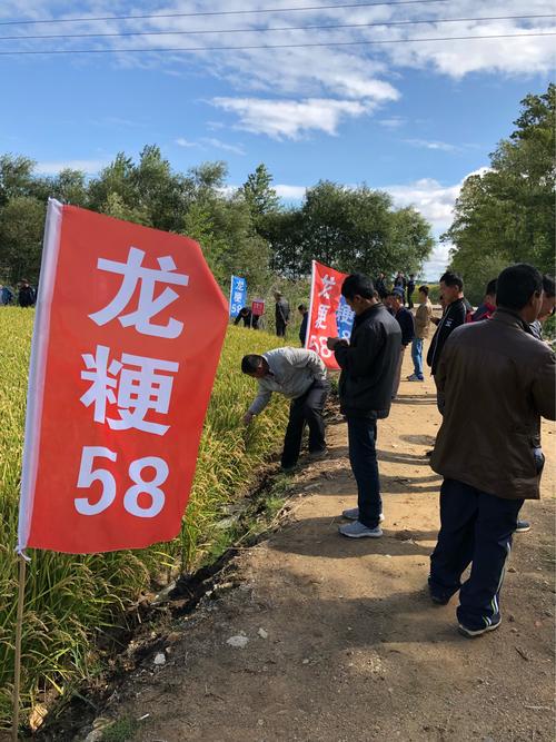 润丰种业冠天下,科技兴农惠万家!